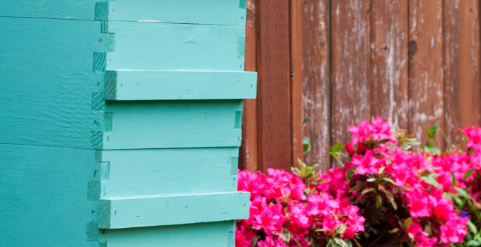 A Backyard Beekeeper’s Guide 🐝