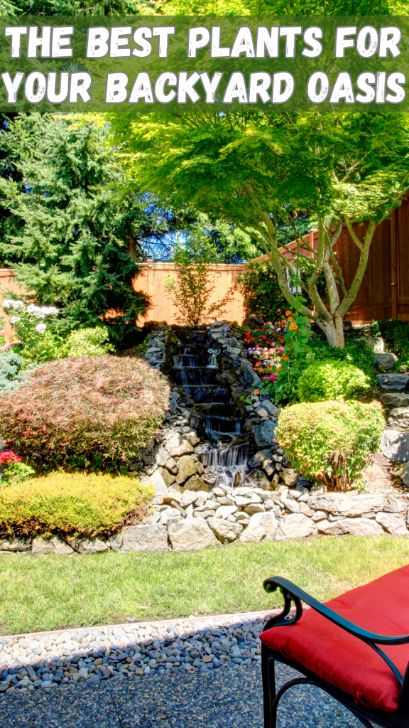 The Best Plants for Your Backyard Oasis