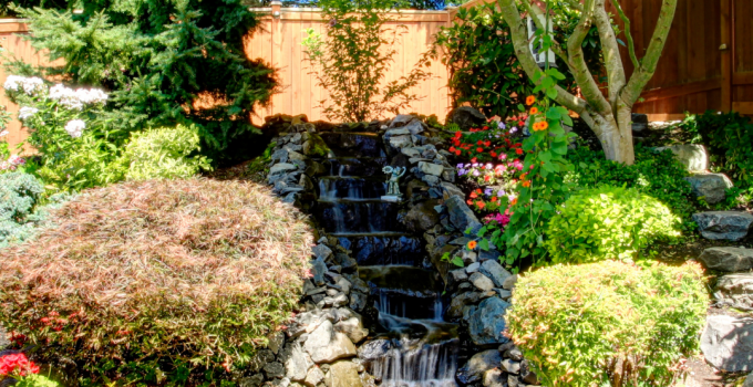 The Best Plants for Your Backyard Oasis 🏡🌿