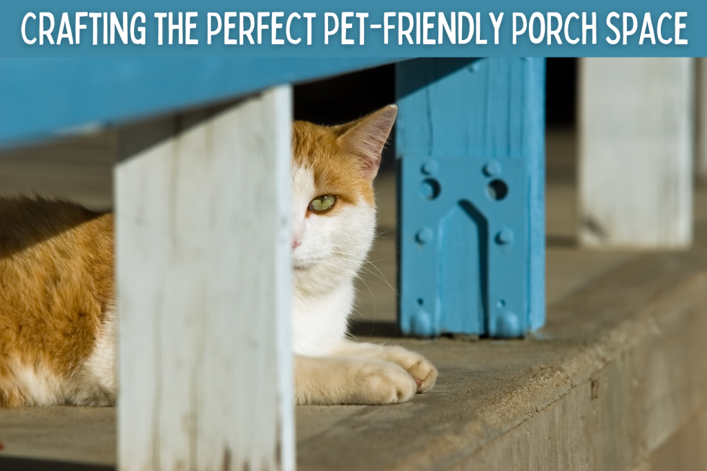 Crafting the Perfect Pet-Friendly Porch Space