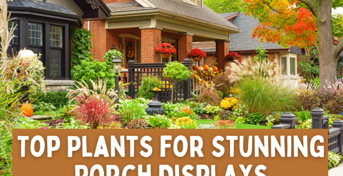 The Ideal Plants for Porch Planters 🌿🌼
