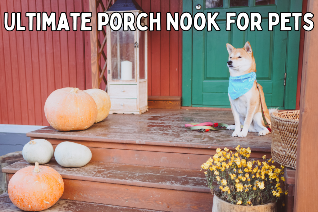 Ultimate Porch Nook for Pets